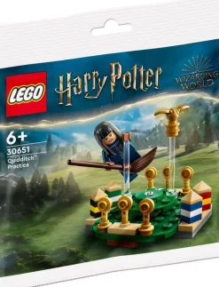 The Brick Show Shop LEGO Harry Potter Quidditch Practice Polybag Set (30651)